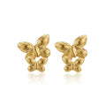 Butterflies studs